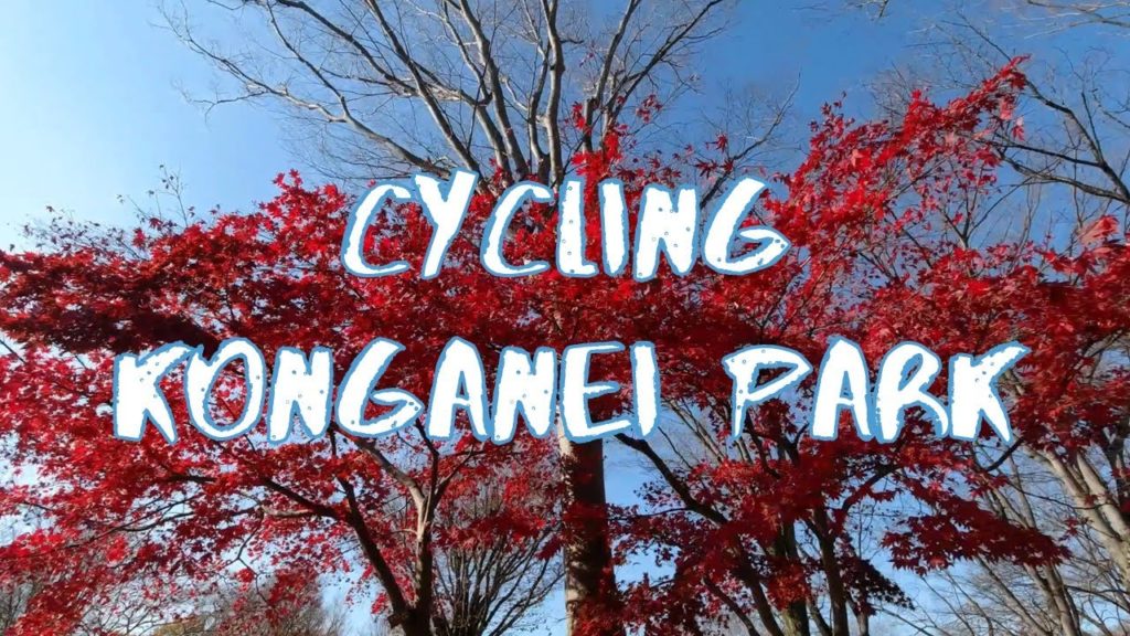[Vlog] Cycling in Koganei Park with Autumn Leaves | Tokyo Sightseeing, Japan