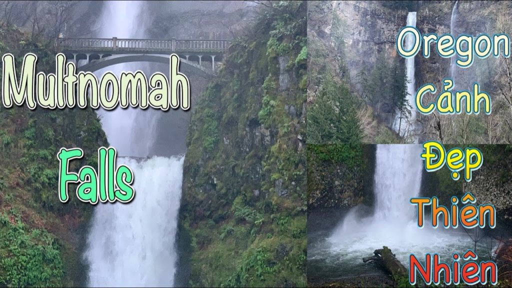 Multnomah Falls Winter 2021- Dạo Chơi Thác Mùa Đông – Oregon Cảnh Đẹp Thiên Nhiên -Vlog 131 Multnomah Falls Winter 2021- Dạo Chơi Thác Mùa Đông - Oregon Cảnh Đẹp Thiên Nhiên -Vlog 131