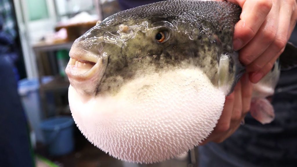 Japanese Street Food - Walk and Eat Tour in Osaka Kuromon Market Part Final