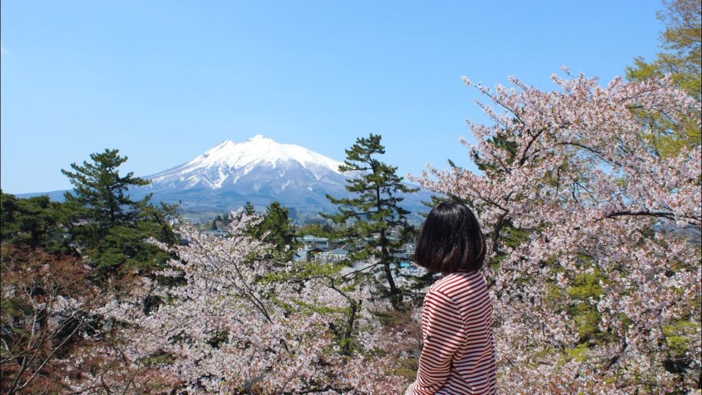 SPRING IN JAPAN(PART-1): CHERRY BLOSSOMS (HIROSAKI PARK) SPRING IN JAPAN(PART-1): CHERRY BLOSSOMS (HIROSAKI PARK)