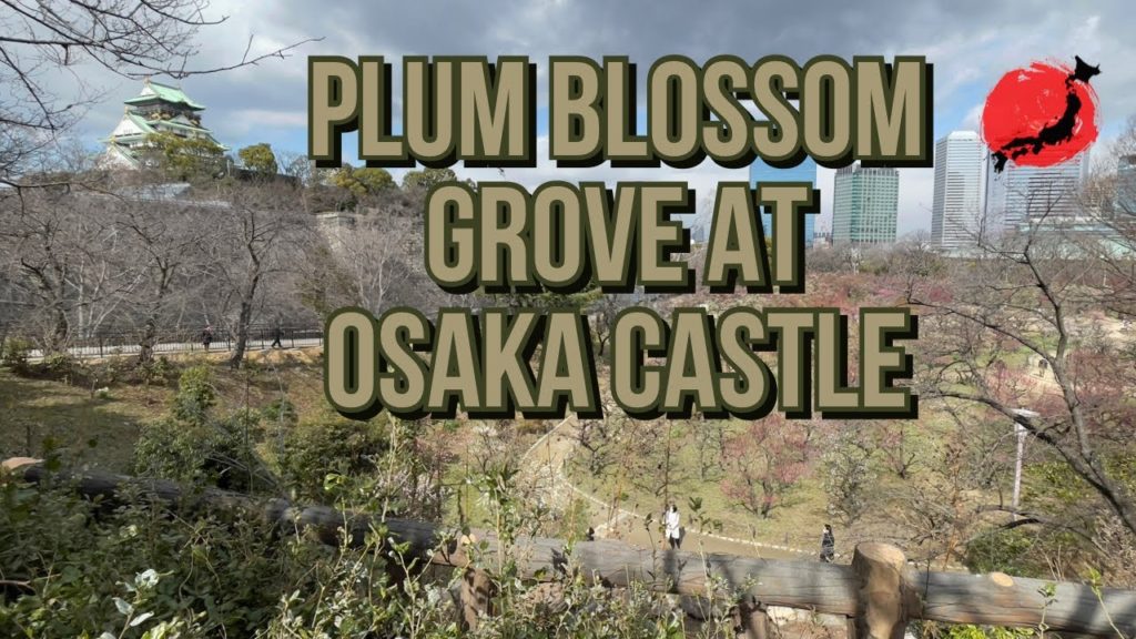 Plum Blossom Grove at Osaka Castle, Japan