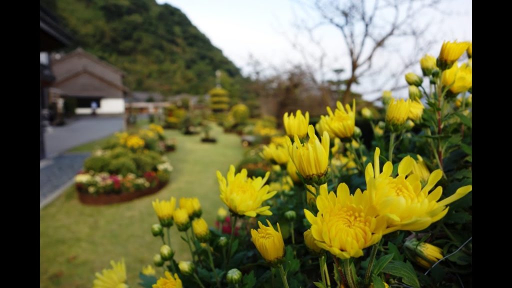 Senganen Garden, Kagoshima, October 29, 2014