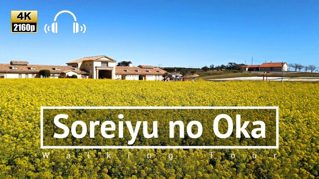 [4K/Binaural] Soreiyu no Oka Walking Tour in Yokosuka - Kanagawa Japan