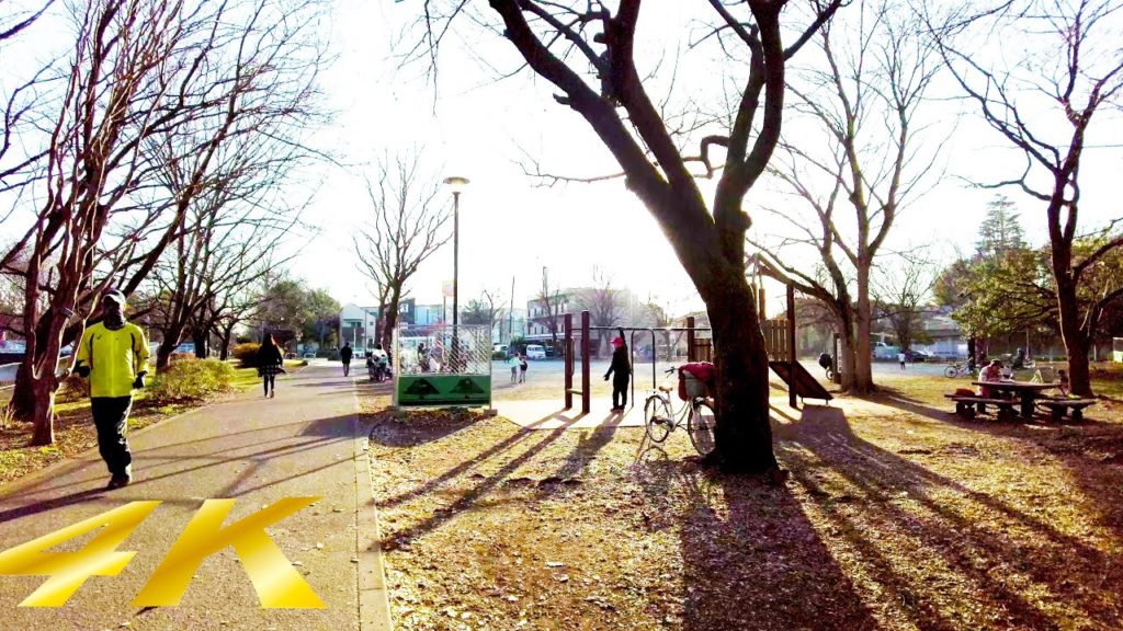 [4K ASMR] Zenpukujikawa Ryokuchi Park walk in Tokyo, Japan (55 min) To Asagaya