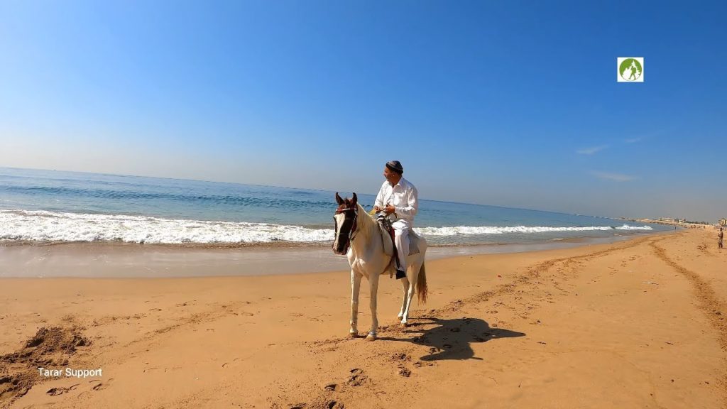 Arabian Sea Manora Beach Karachi City Pakistan Arabian Sea Manora Beach Karachi City Pakistan