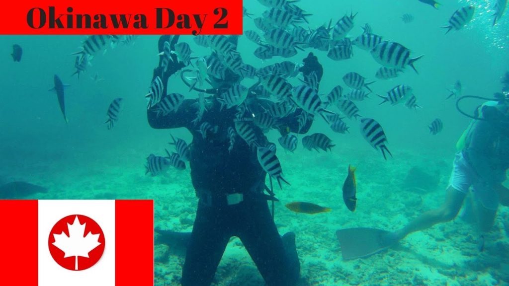 Okinawa Day 2: Scuba Diving with Sea Lovers Okinawa