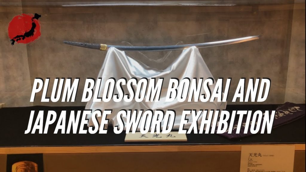 Plum Blossom Bonsai and Japanese Sword Exhibition, Osaka, Japan