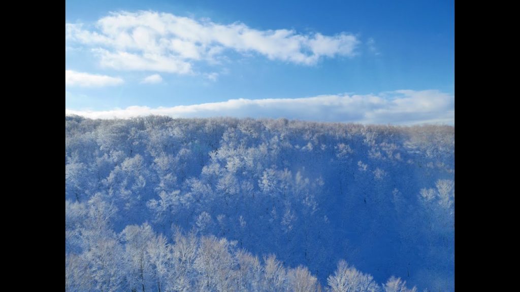 Aomori & Mt.Hakkoda day trip