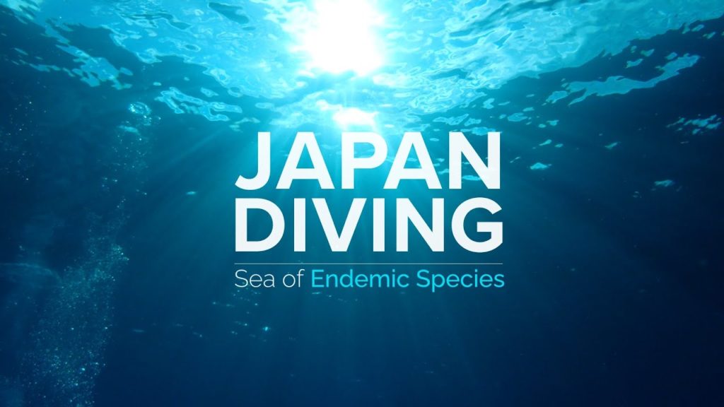 JAPAN DIVING | Sea of Endemic Species | JNTO