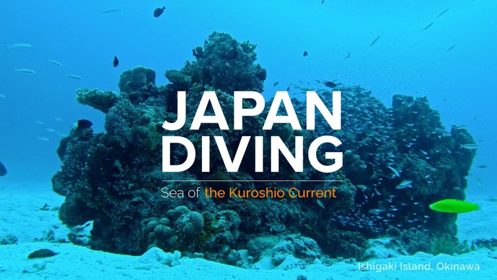 JAPAN DIVING | Sea of the Kuroshio Current | JNTO