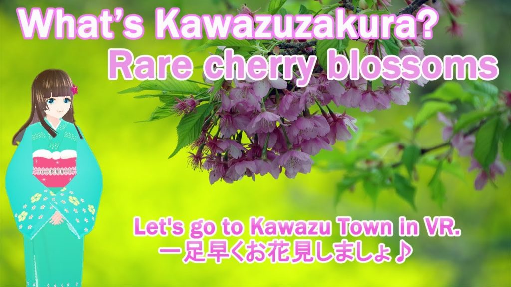 河津桜 お花見 in VR | EngSub | 日帰り(a day trip) | sakura ohanami | Kawazu in JAPAN | バーチャルYouTuber 河津桜 お花見 in VR | EngSub | 日帰り(a day trip) | sakura ohanami | Kawazu in JAPAN | バーチャルYouTuber