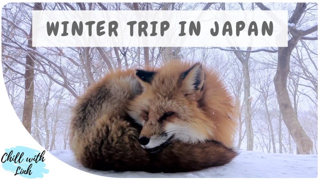 Visit Miyagi and Yamagata - Japan's Winter Wonderland