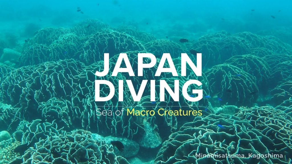 JAPAN DIVING | Sea of Macro Creatures | JNTO