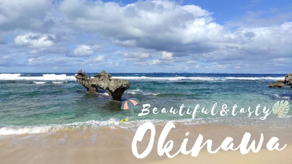 My Okinawa trip with lots of beautiful stuff and lots of plant based meals🐠｜travel vlog