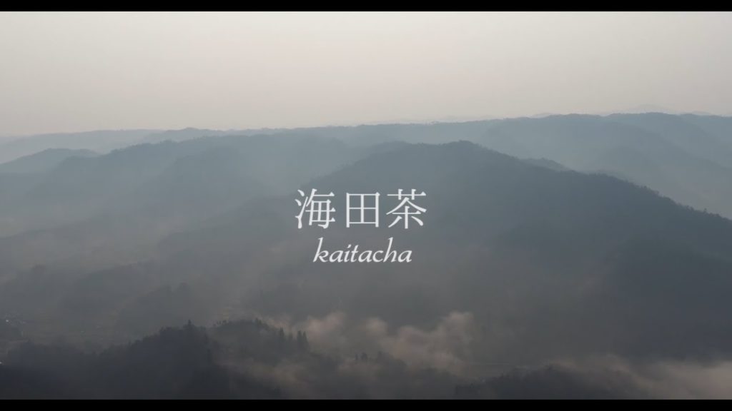 The charm of Kaita tea（MimasakaCity,Okayama Pref）