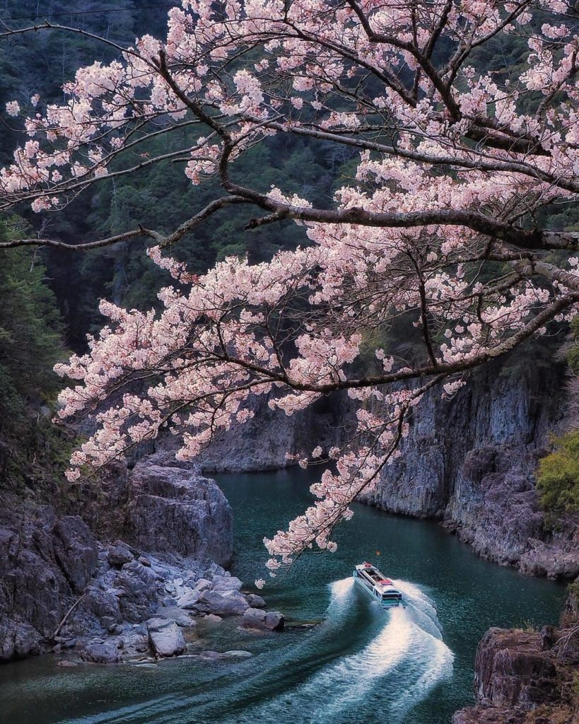 Visit Japan: A GORGE-ous sight at Dorokyo Gorge in Yoshino-Kumano National Park. With its tow… A GORGE-ous sight at Dorokyo Gorge in Yoshino-Kumano National Park. With its tow...