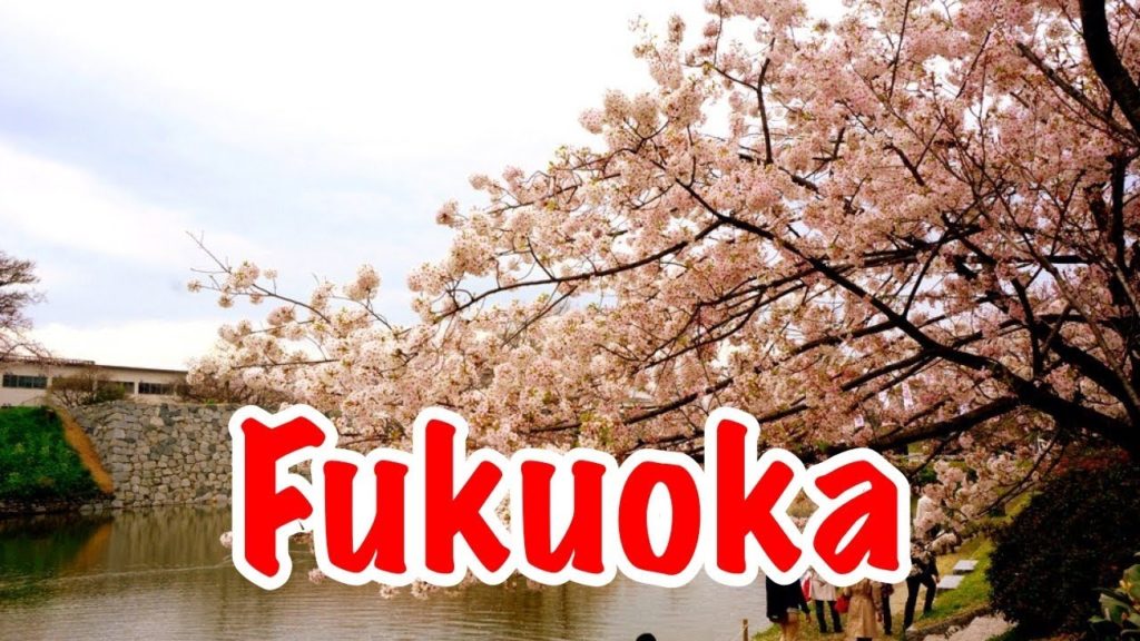 Travels in Japan (Part Five) [Fukuoka Pt. 1] 🇯🇵.
