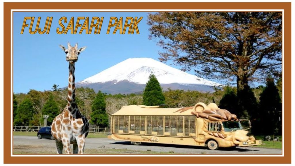 Travel vlog | Driving at FUJI SAFARI PARK JAPAN π―π΅ Travel vlog | Driving at FUJI SAFARI PARK JAPAN π―π΅