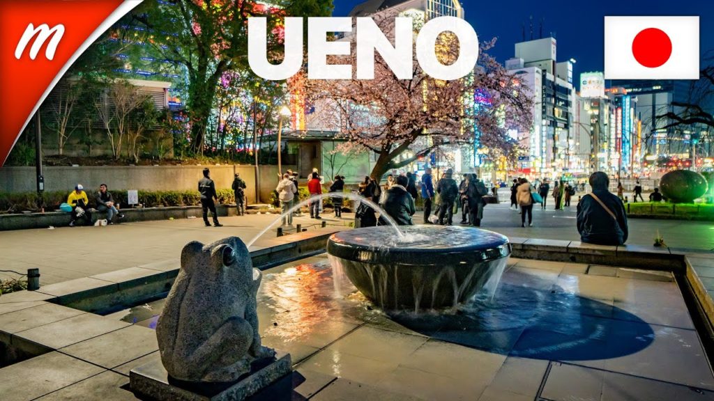 Early-blooming cherry blossoms in Ueno Park - TOKYO WALKING TOURS