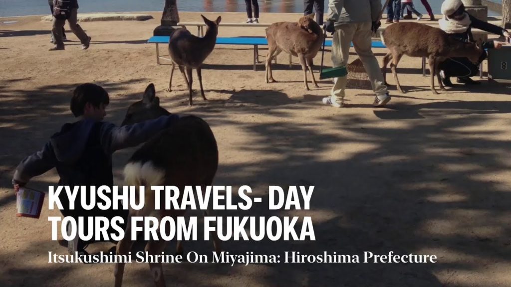 Kyushu Travels specializes in Day Tours from Fukuoka for small private tour groups.
