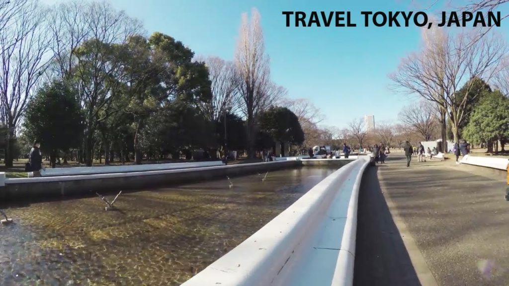 TRAVEL TOKYO, JAPAN TRAVEL TOKYO, JAPAN