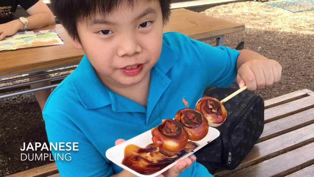 Sightseeing area also a good view for Mt Fuji