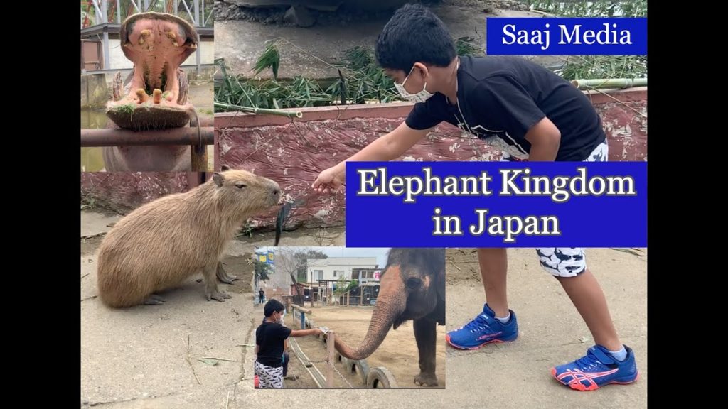 Elephant Kingdom in Chiba, Japan