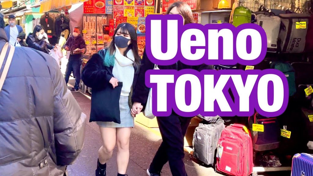 [JAPAN/TOKYO]Ueno walking scenery[Ameyoko/Okachimachi]