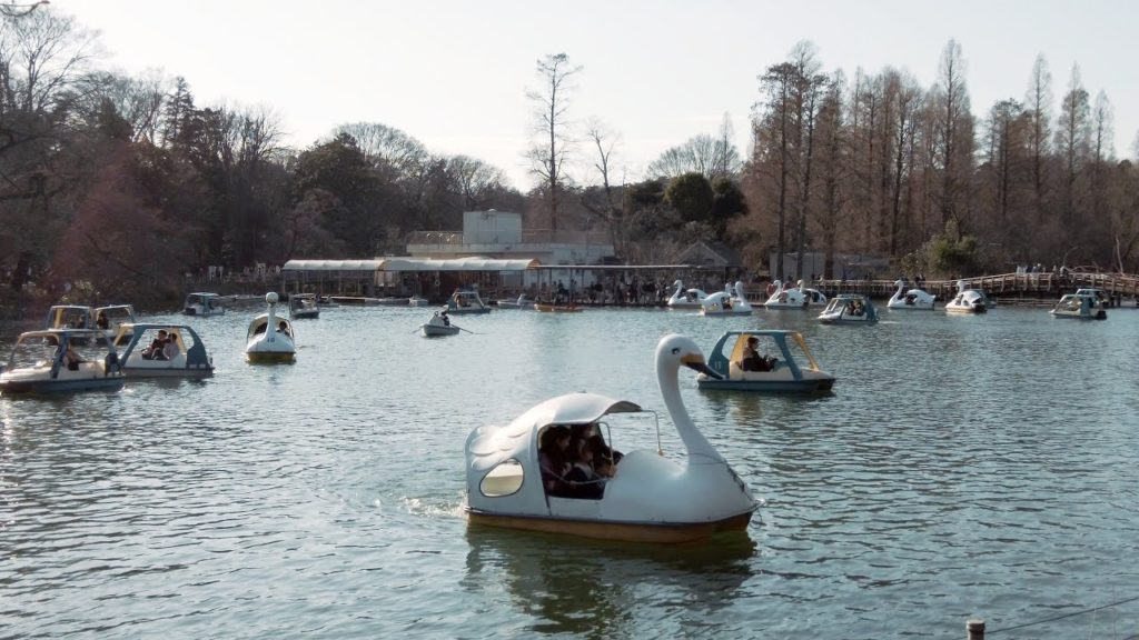 [4K] 🚶🏻‍♂️Inokashira park walking tour | Tokyo Walk🚶🏻‍♂️ | Dji Pocket 2 | 🎧Binaural City Sounds