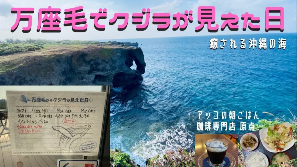 【沖縄旅行】万座毛にクジラ出没!朝ご飯と珈琲頂きGO TO MANZAMO【万座毛】【沖縄観光】【沖縄グルメ】【絶景カフェ】【沖縄リゾート】【沖縄そば】【クジラ】 【沖縄旅行】万座毛にクジラ出没!朝ご飯と珈琲頂きGO TO MANZAMO【万座毛】【沖縄観光】【沖縄グルメ】【絶景カフェ】【沖縄リゾート】【沖縄そば】【クジラ】