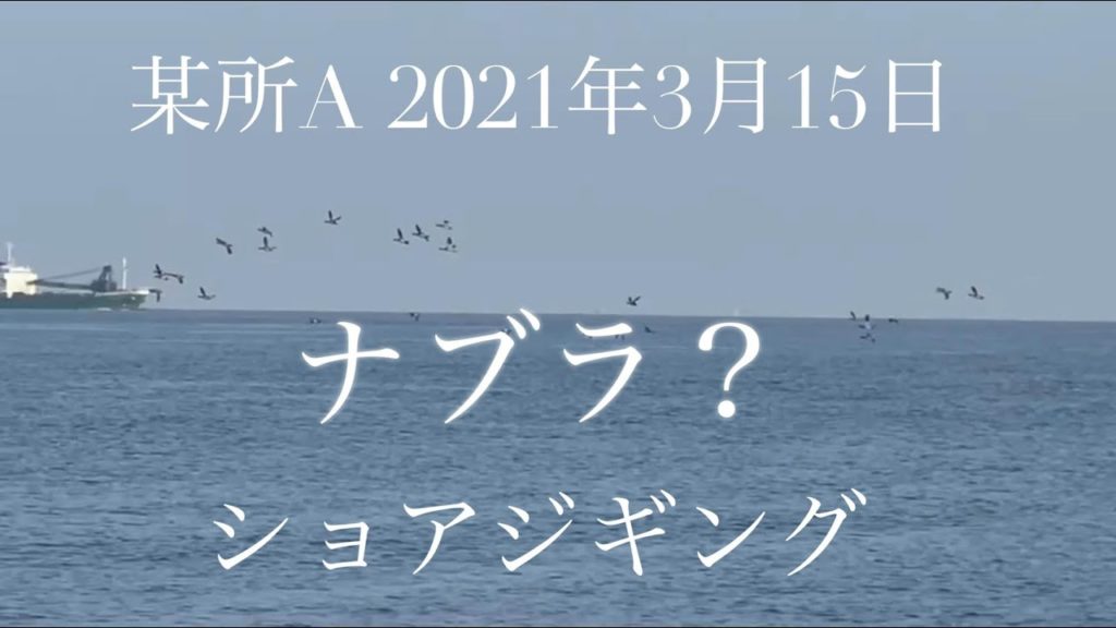 某所Aでナブラ? ショアジギング 2021年3月15日 マグナムさんと投げました!沖向きテトラ ポポパパ 青物 ハマチ ブリ メジロ サワラ サゴシ ルアー fishing 某所Aでナブラ? ショアジギング 2021年3月15日 マグナムさんと投げました!沖向きテトラ ポポパパ 青物 ハマチ ブリ メジロ サワラ サゴシ ルアー fishing
