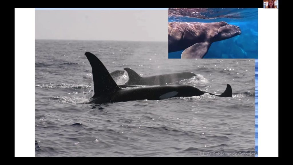 BELEN GARCIA:UNA MISIÓN POR LOS OCEANOS