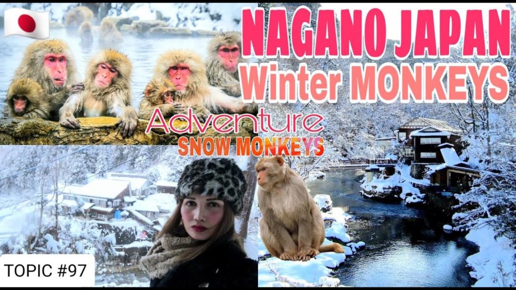 NAGANO JAPAN TRAVEL GUIDE | NAGANO SNOW MONKEYS | NAGANO JIGUKODANI PARK | NAGANO TRAIN RIDE 2016 NAGANO JAPAN TRAVEL GUIDE | NAGANO SNOW MONKEYS | NAGANO JIGUKODANI PARK | NAGANO TRAIN RIDE 2016