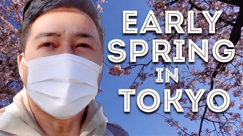First Signs of Sakura | Asakusa Tokyo Vlog 2021