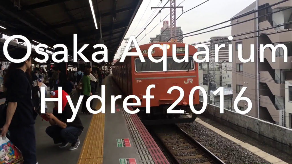 Osaka Aquarium Walkthrough