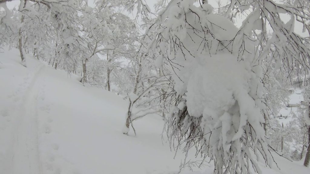 [4K Tour] #3 Backcountry in Niseko Hokkaido January 2021 - 北海道ニセコのバックカントリー2021年1月