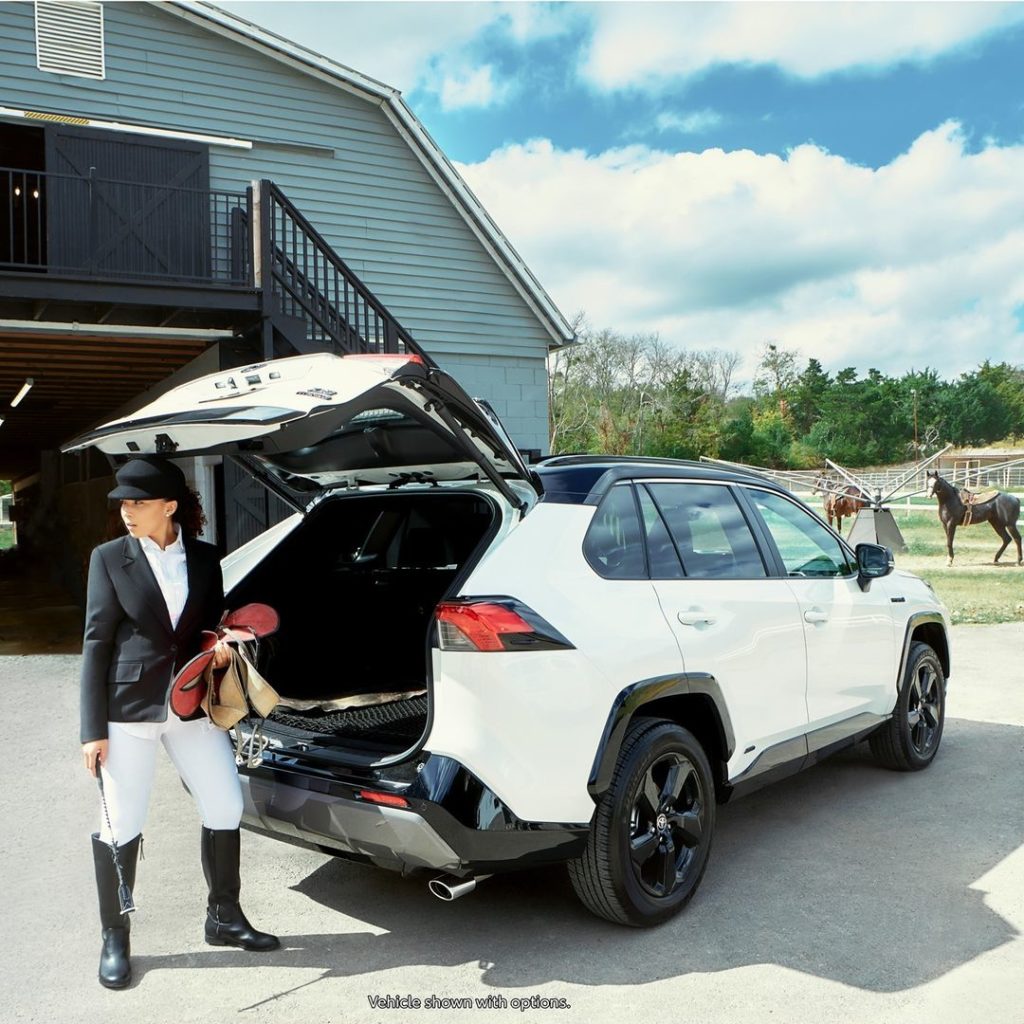 Courage is . #RAV4 #Hybrid #LetsGoPlaces...