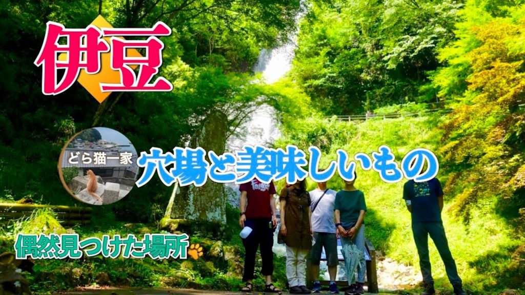 伊豆 [旭滝] 偶然みつけた穴場スポットと美味しいものと道の駅 | 2020年7月と9月より