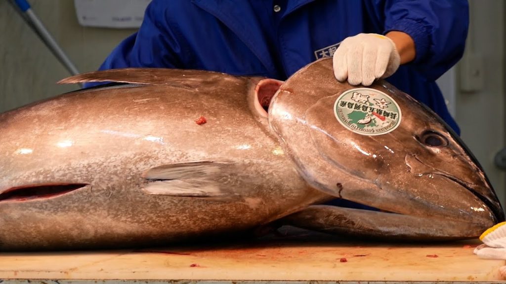 Bluefin Tuna Whole-body Cutting Osaka Sakai Market  - Japanese Street Food