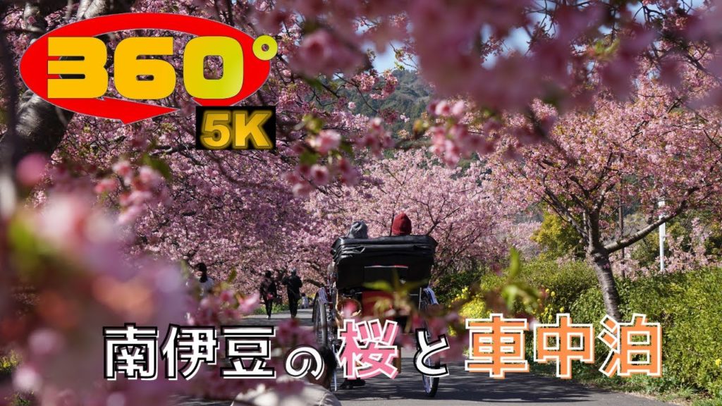 《 5.7K 高画質 》[ 360° VR  Japan Travel ] 河津桜を見るなら車中泊スポットはここ！激安南伊豆RVパーク！
