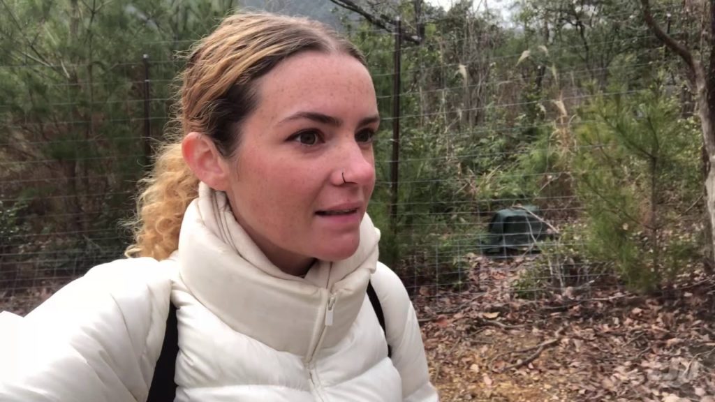 Bamboo forest Kyoto | Travelvlog #46