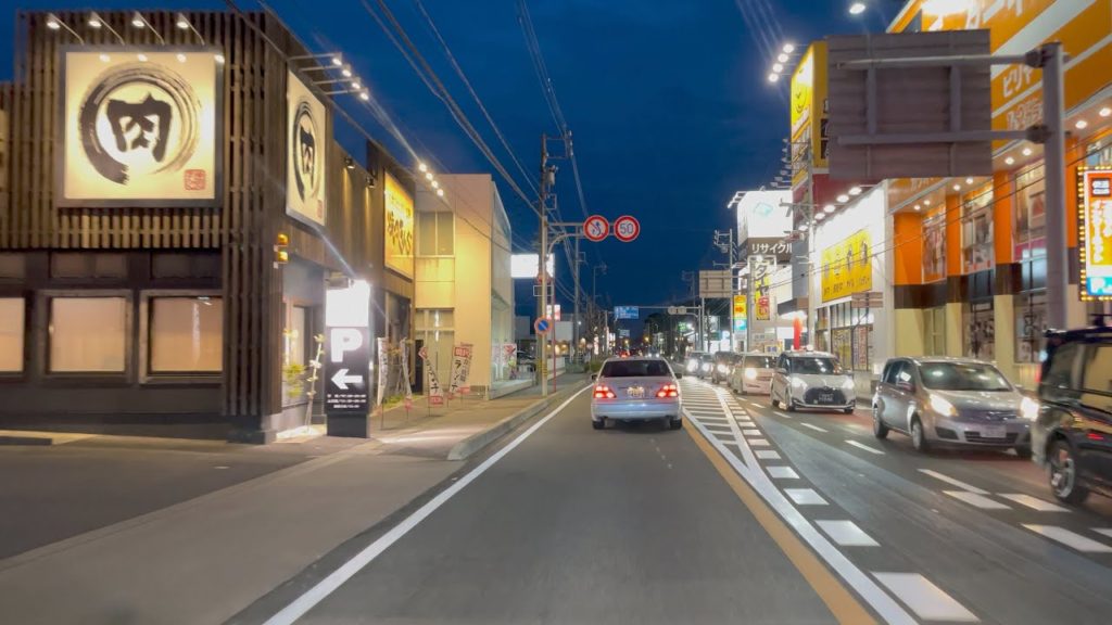 JAPAN Road Trip 2021-03-20 | After work Sightseeing Drive from Kira Town Nishio to Gamagori Aichi
