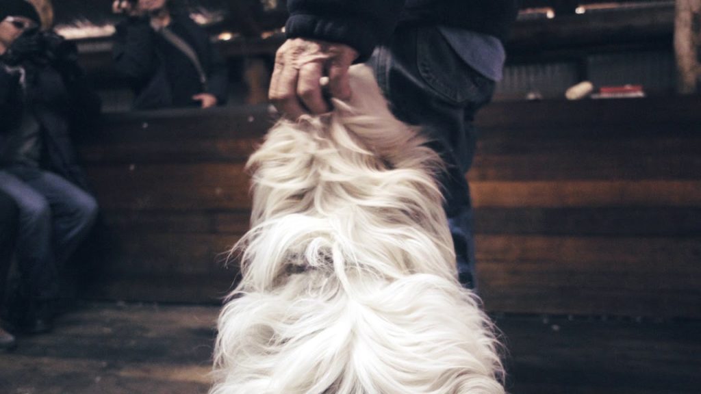 Tasmania Road Trip - Hobart to Hamilton (Curringa Farm) on GoPro, Rx100.m5, Mavic Pro