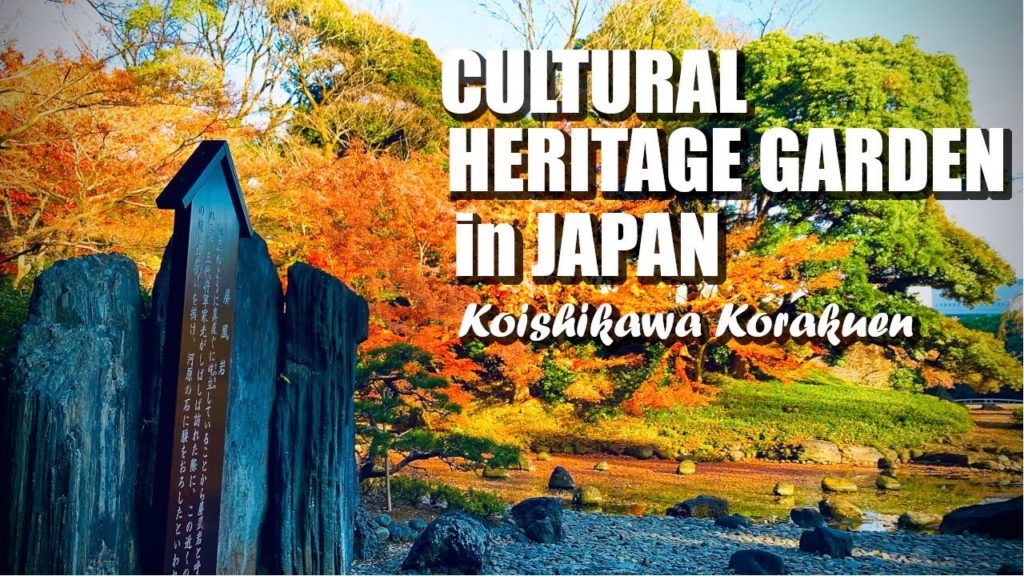 CULTURAL HERITAGE GARDEN IN JAPAN | KOISHIKAWA KORAKUEN GARDEN