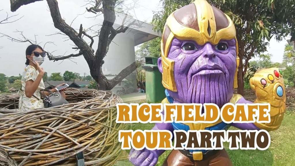 Isaan Rice Field Café Tour | Part 2/2 | NaGo Coffee & Nafuku Café Isaan Rice Field Café Tour | Part 2/2 | NaGo Coffee & Nafuku Café