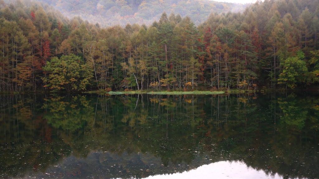 Japan 1minute Travel NAGANO Okutateshina 長野 奥蓼科 御射鹿池（初秋の御射鹿池の朝の風景）