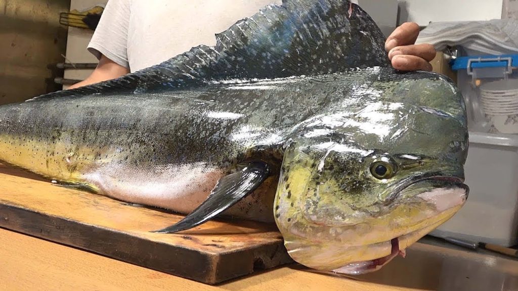 Amazing Giant Mahi Mahi cutting skills- fried fish steak Taiwanese street food Amazing Giant Mahi Mahi cutting skills- fried fish steak Taiwanese street food