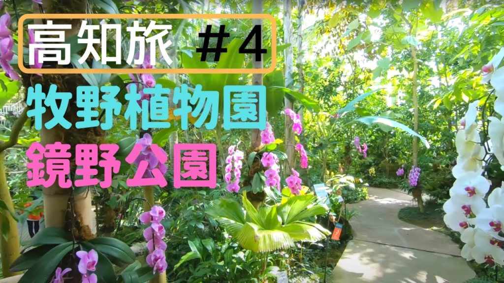 Trip to Kochi 4；Makino Botanical Garden, Kagamino Park:牧野植物園(五台山), 鏡野公園(香美市)