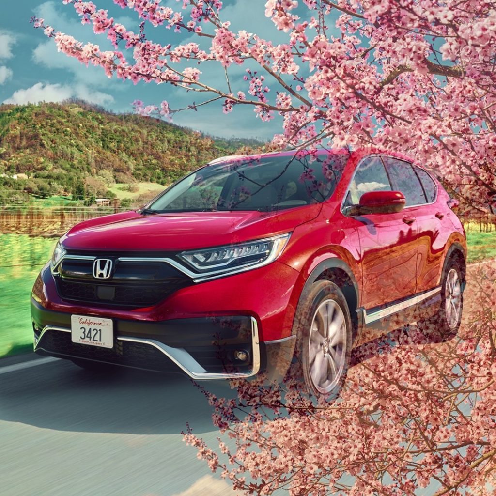 Chase the scent of new adventures.  #firstdayofspring #HondaCRV...