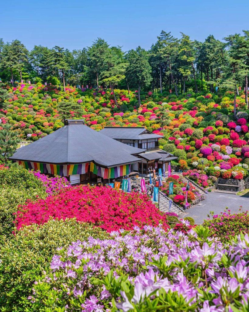 Sometimes we get comments and messages that the places we feature couldn't possi...